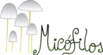 Logo fondo blanco